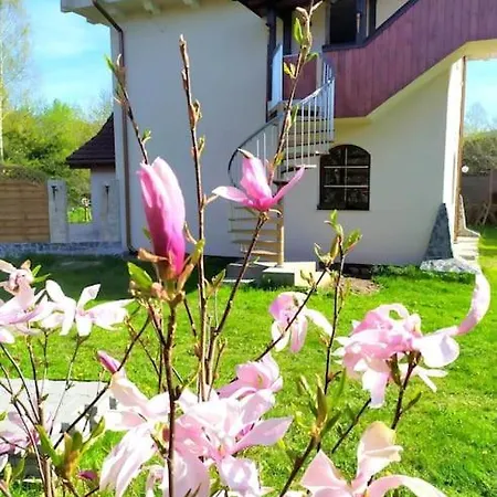 Dream Tower Apartamento *