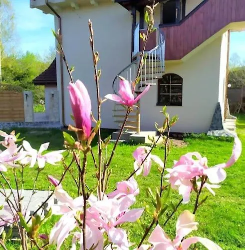 Dream Tower Appartement *